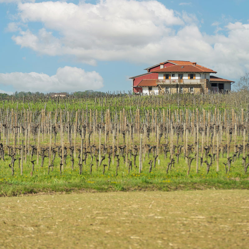 borgo dei sapori, agriturismo e bed and breakfast