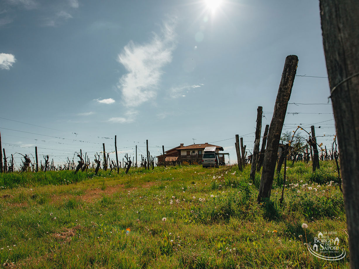 04 irene cencig borgo dei sapori agriturismo b and b nomady